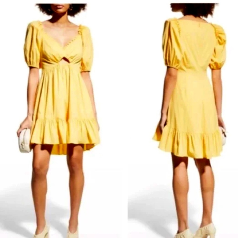 🌼⭐️ NWOT, Never Worn! Bright & Beautiful Cinq a Sept Kayla Minidress ⭐️🌼